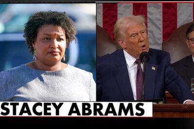 WATCH: Stacey Abrams Goes on MSNBC to Have Hilarious Meltdown after Trump Yanks Her $2 Billion in Funding for “Biden Refrigerators”