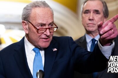 WATCH: Schumer Panics on the Senate Floor as DOGE Finds, Cuts Wasteful Spending