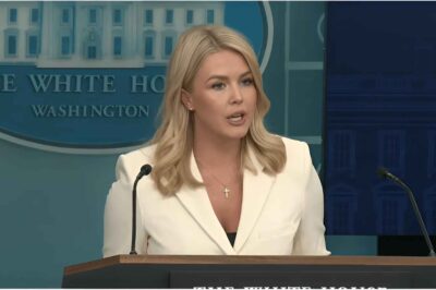 WATCH: Leavitt Confirms DOGE Has Made a “Massive” and “Horrible” Discovery