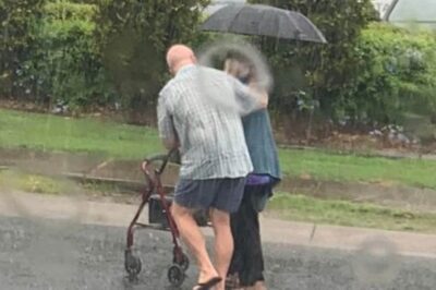 Kind Stranger Parked And Quickly Brought Umbrella And Towel To Elderly Woman Crossing Street In Rain