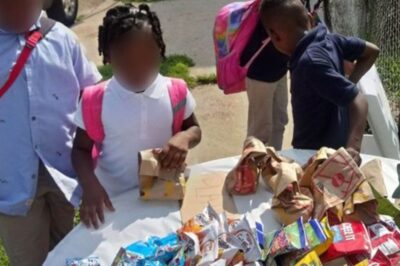 Kind Mother Makes 100 Extra Sack Lunches Each Day For Children In Her Neighborhood