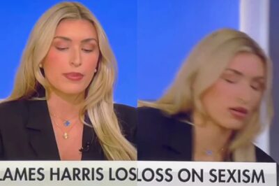 Just In: Fox News Panelist Collapses Live on Air Mid-Segment [WATCH]