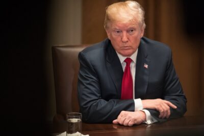 Explosive Report Vindicates Trump in Major Move