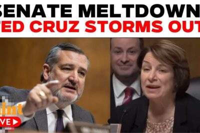 WATCH: Klobuchar Has Furious Meltdown after Getting Triggered by Ted Cruz