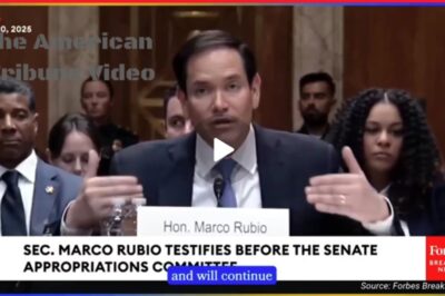 “Time to Retire”: RINO Senator Tries Crushing Trump, Gets Destroyed Online Over “Cushy USAID Kickbacks” Defense [WATCH]