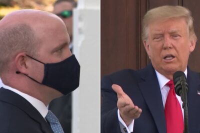 Prominent ABC Reporter Lets The Mask Slip With Unhinged Anti-Trump Rant